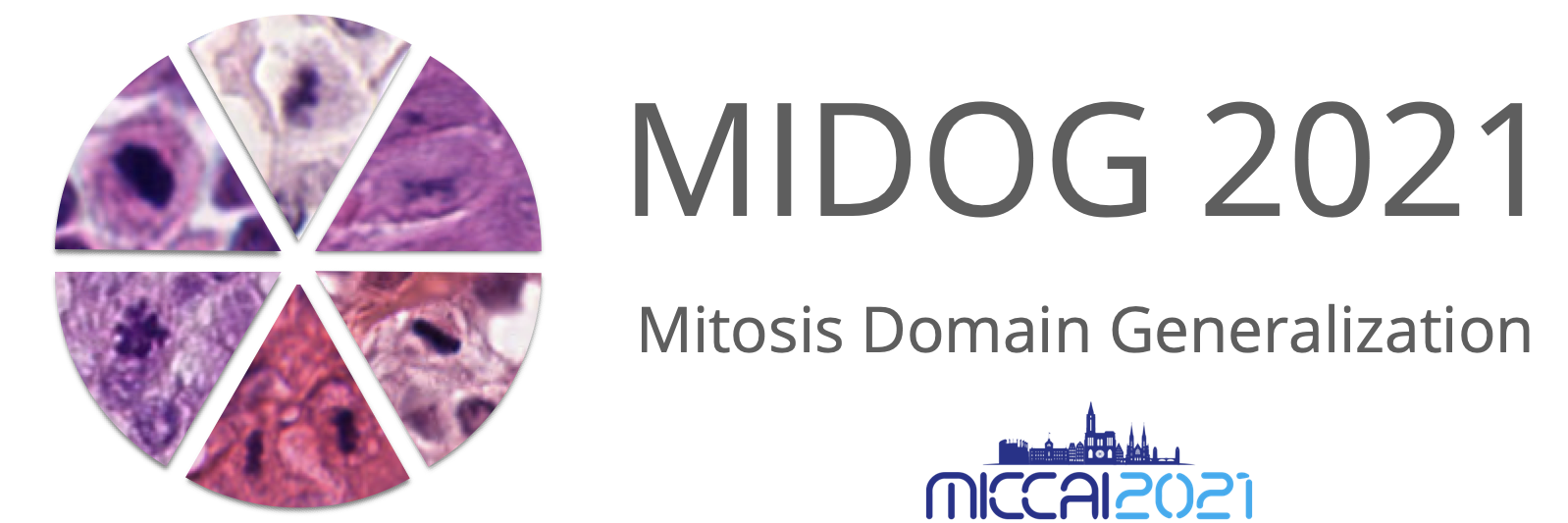 MIDOG Challenge 2021