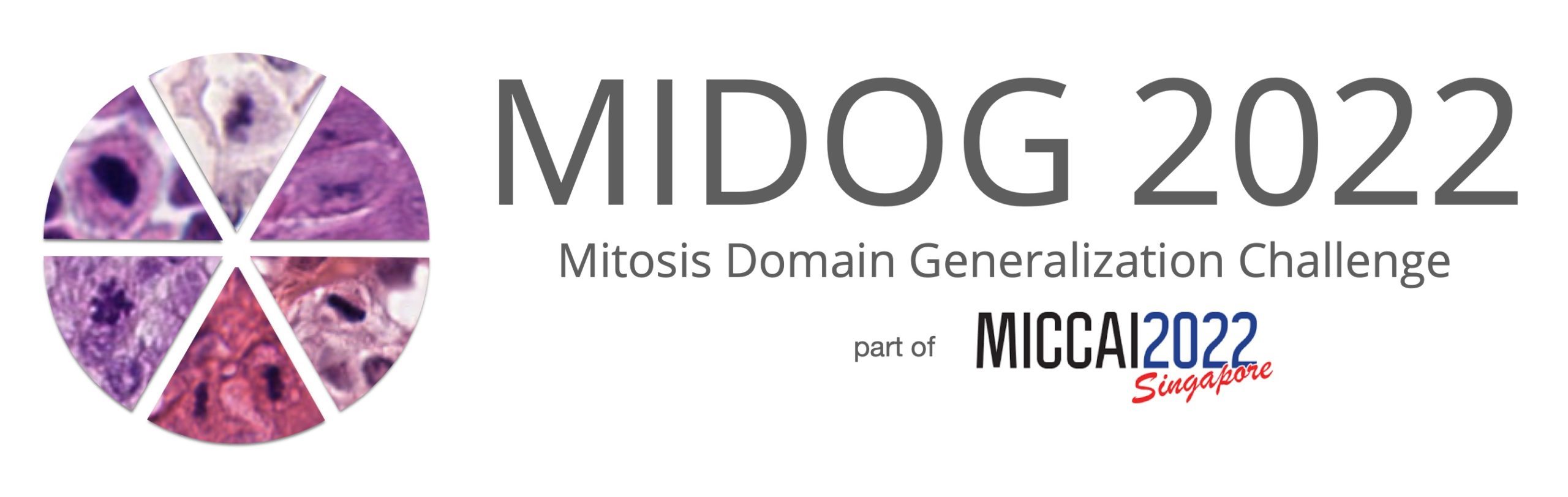 MIDOG Challenge 2022
